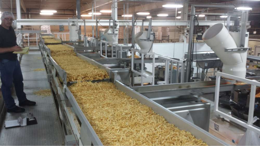 production line for the food manufacturing industry