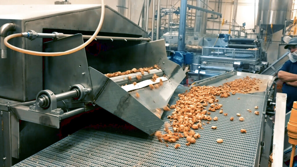 conveyor automation systems - conveyor in food manufacturing